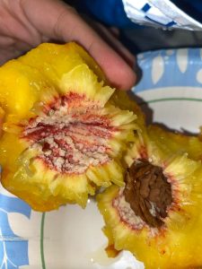 🍑 The White Stuff on Your Peach Pit – What Is It and Should You Be Worried?