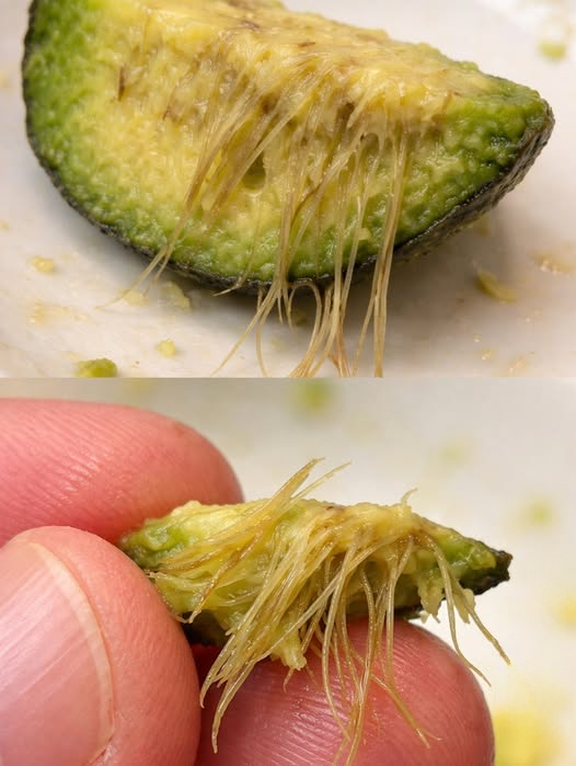 Understanding the Mysterious Strings in Your Avocado: Causes, Safety, and Tips for a Smoother Fruit
