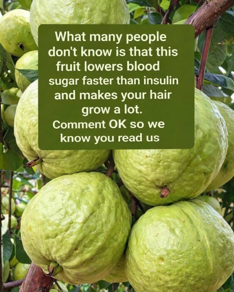 Guava: Nature’s Sweet Superfruit (But Not a Miracle Cure)