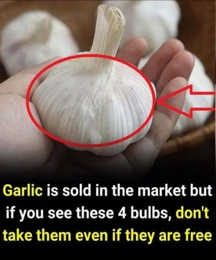 Even if they are given for free, you shouldn’t take them