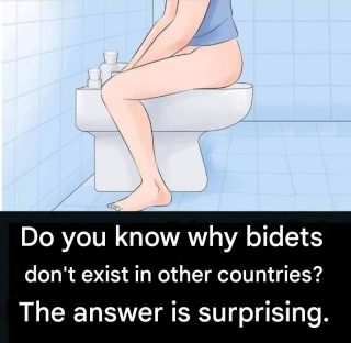 This is why bidets don't exist abroad: it's only now being discovered that...More...